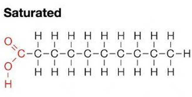 <p>Have fatty acid chains that are saturated with hydrogens. All carbons have maximal hydrogens bonded.</p>
