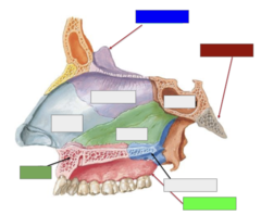 <p>This is the</p>
