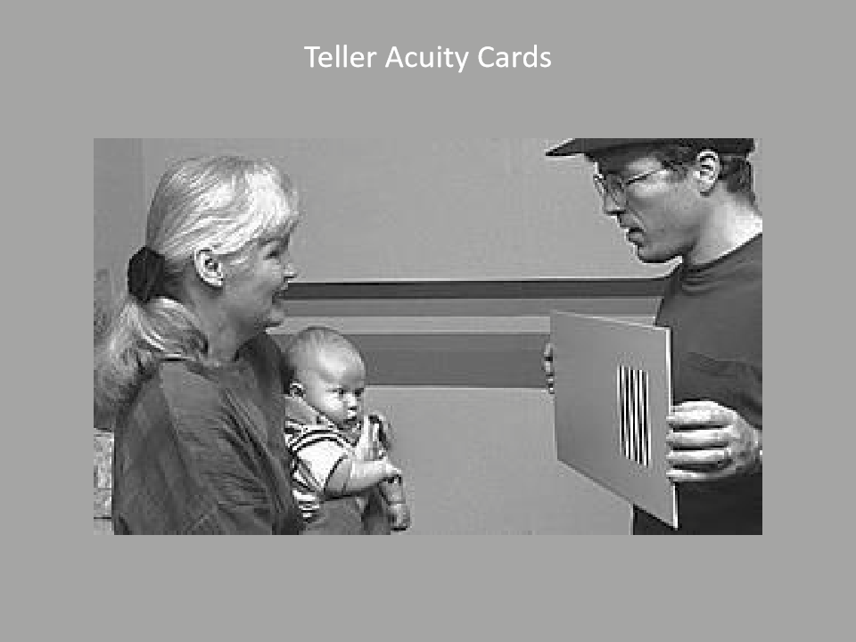 <p>Teller Acuity Cards. Adults guess which side based on looking. </p>