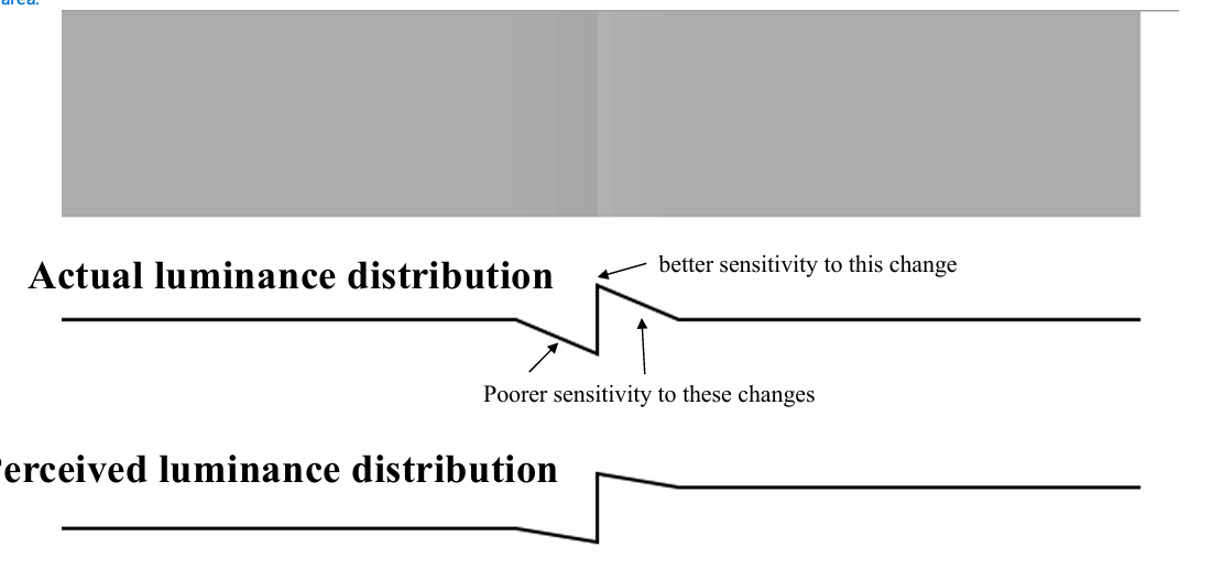<p>Broader contrast effects: lateral inhibition </p><p></p><p>looks like you have a dark luminance rectangle on the left and higher luminance on the right </p><ul><li><p>the actual luminance is the same (except in the middle) </p></li><li><p>transiently decrease the luminance on the right near the middle, increase on left near the middle </p></li><li><p>because the changes are over a larger area, the centre surround isn't that responsive. </p></li><li><p>sensitivity to broad course gratings not that high. Our brain doesn't tend to notice the change over the area. </p></li></ul><p></p>