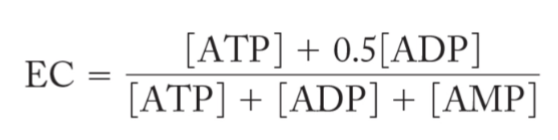 <p>maintains ATP levels within a narrow range by interconverting ATP, ADP, and AMP using phosphoryl transfer rxns </p><p>use ratio of the concentration of ATP to conc of ADP and AMP to measure energy state of cell called energy charge (EC)</p><p>M2T1</p>
