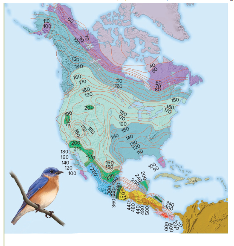 <p>Examine the figure above. In the continental U.S., the dark green patches show areas with the highest bird species richness. What best explains why these areas have such diversity?</p>