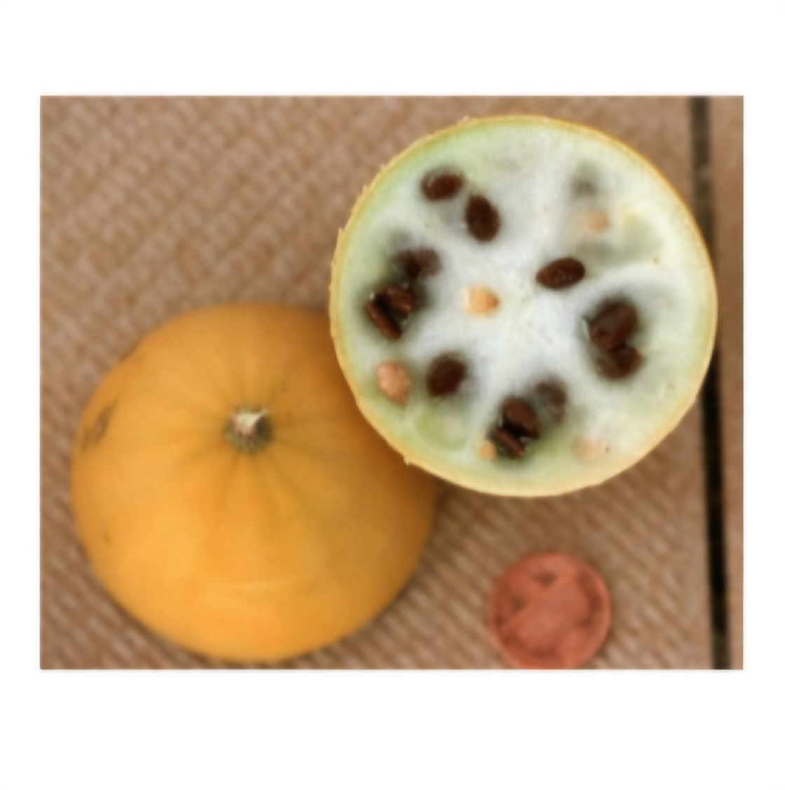 <p>What is this fruit?</p>