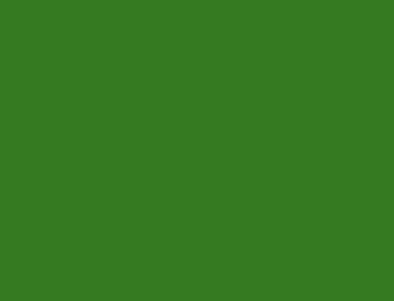 <p>Green</p>