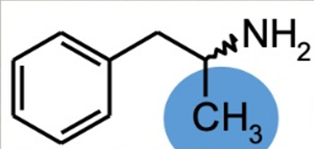 <p>-Biological action: Modulates the behaviour of dopamine, serotonin, norepinephrine.</p><p>-Use in medicine: Treats ADHD in children under 12, narcolepsy, obesity, hypnotic overdose, athletic performance enhancer cognitive enhancer</p>