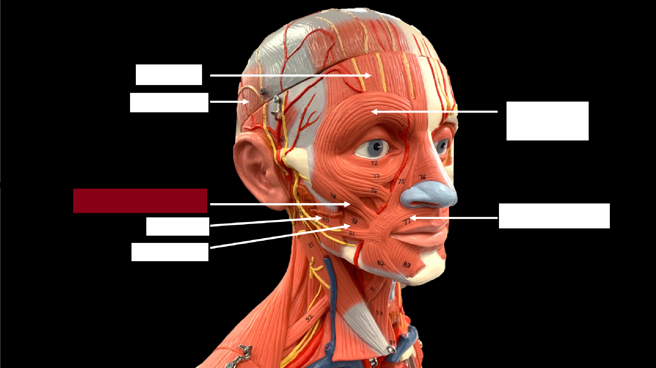 <p>WHAT IS THE NAME OF THE RED HIGHLIGHTED PART?</p>