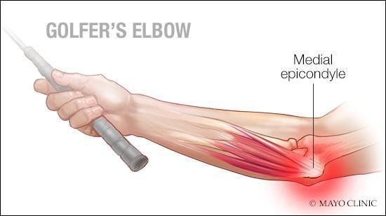 <p>Inside elbow bump (bigger)</p>