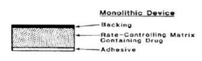 <p>a. Monolithic Systems</p>