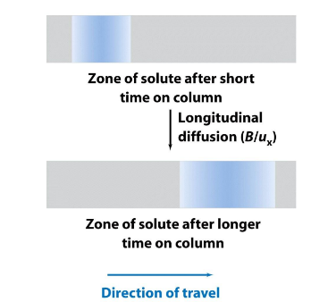 <p>Diffusion along the column axis.</p><ul><li><p>diffusion meaning: molecules move from areas in the band of molecules that are high in concentration to areas that are low in concentration</p></li><li><p>Factor causing band spreading or broadening</p></li></ul><p></p>