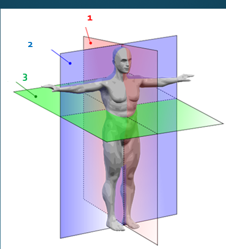 <p>what plane is 2?</p>