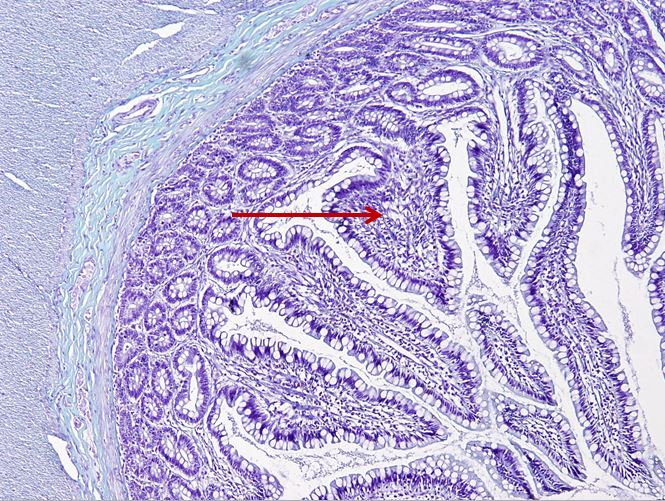 <p>Cấu trúc gì ?</p>