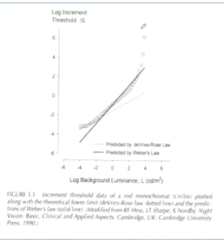 <p>Saturation Region: What individual was tested when looking at the saturation region?</p>