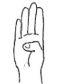 <p>what letter is this?</p>