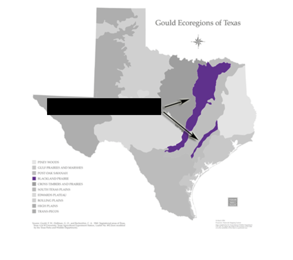 <p>What Ecoregion is represented in purple?</p>