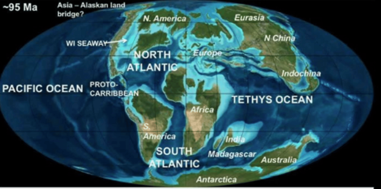 <p>Cretaceous- 65 million years ago</p>