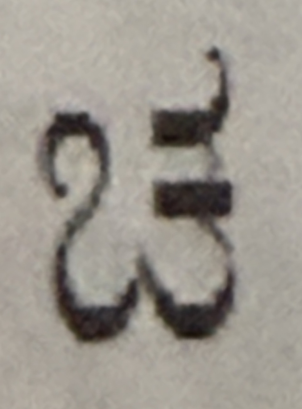 term image