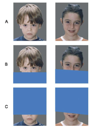 <p>Between B &amp; C, which condition led to the lesser and greater decline in <u>accuracy in predicting siblings r/s?</u></p>