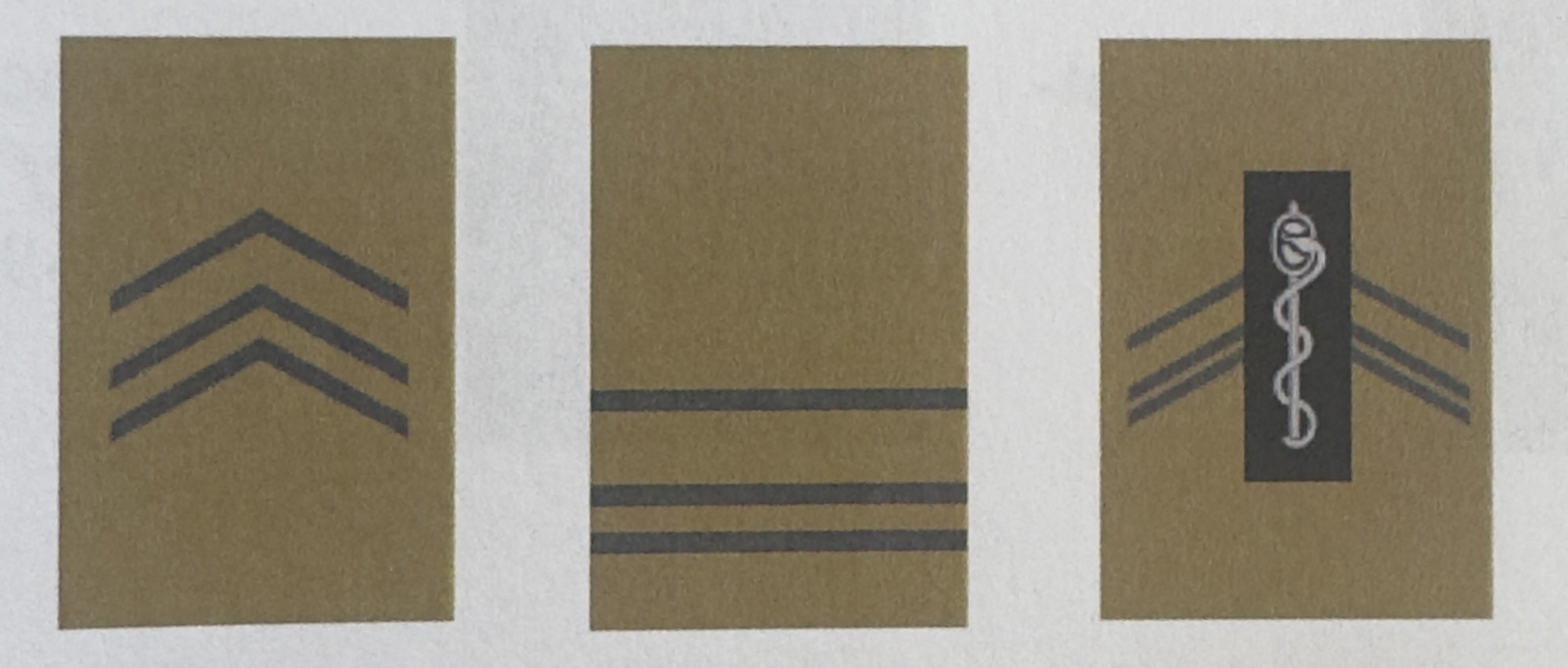 <p>Sous-Officiers subalternes 1/7</p>