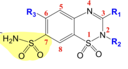<p><strong>Diuretics: </strong>Thiazide or Benzothiadiazine</p><ul><li><p><span style="background-color: transparent;">“Thiazide” or Benzothiadiazine Diuretics Exploration of biological and side effects of sulphonamides (such as _______, _______ diuretic activity) led to the discovery of diuretics.</span></p></li><li><p><span style="background-color: transparent;">Originally _______ agents</span></p></li><li><p><span style="background-color: transparent;">Structure + Concepts:</span></p><ul><li><p><span style="background-color: transparent;">Sulphonamide → FG containing -_______- → _______ and pka range of _______</span></p></li><li><p><span style="background-color: transparent;">Acidic or basic FGs = _______!</span></p></li><li><p><span style="background-color: transparent;">Salt is _______ water-soluble compared to an acid or base</span></p></li><li><p><span style="background-color: transparent;">SAR:</span></p><ul><li><p><span style="background-color: transparent;">Replacement or removal of the sulfonamide group at position __ = little or no diuretic activity</span></p></li><li><p><span style="background-color: transparent;">EWG is necessary at position __ → adding _______ are better (H’s are worse)</span></p></li><li><p><span style="background-color: transparent;">Saturation of the double bond to give a 3,4-dihydro derivative → _______ active!</span></p></li><li><p><span style="background-color: transparent;">Substitution with a lipophilic group at position __ → increases diuretic potency</span></p><ul><li><p><span style="background-color: transparent;">Haloalkyl, aralkyl, or thioester substitution → increases _______ + longer _______</span></p></li></ul></li><li><p><span style="background-color: transparent;">Alkyl substitution of the __ position → decreases polarity + increases the duration of action</span></p></li></ul></li></ul></li></ul><p></p>