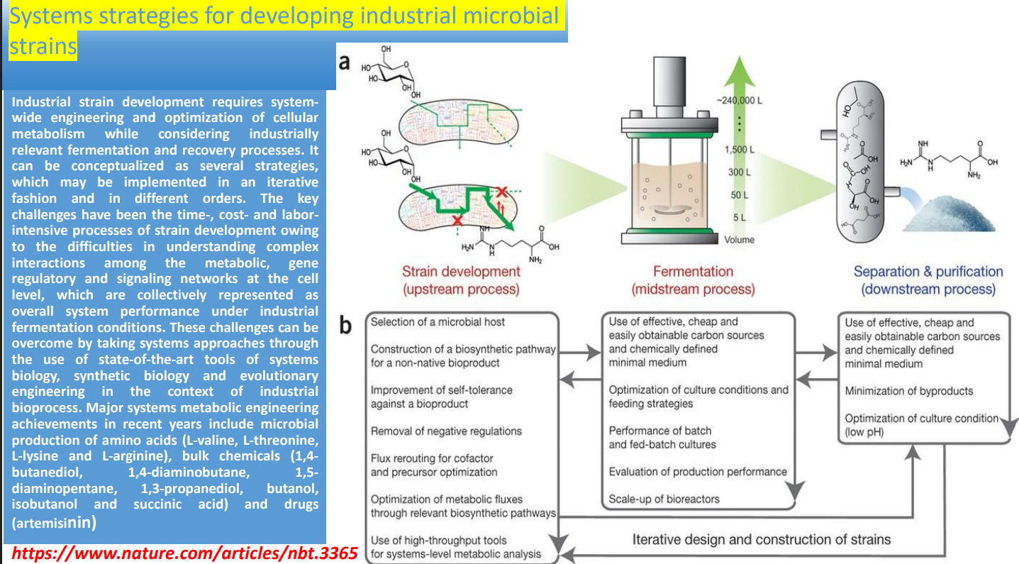 <p>Systems strategies for developing industrial microbial strains: Demonstrated industrial outputs</p><p></p>