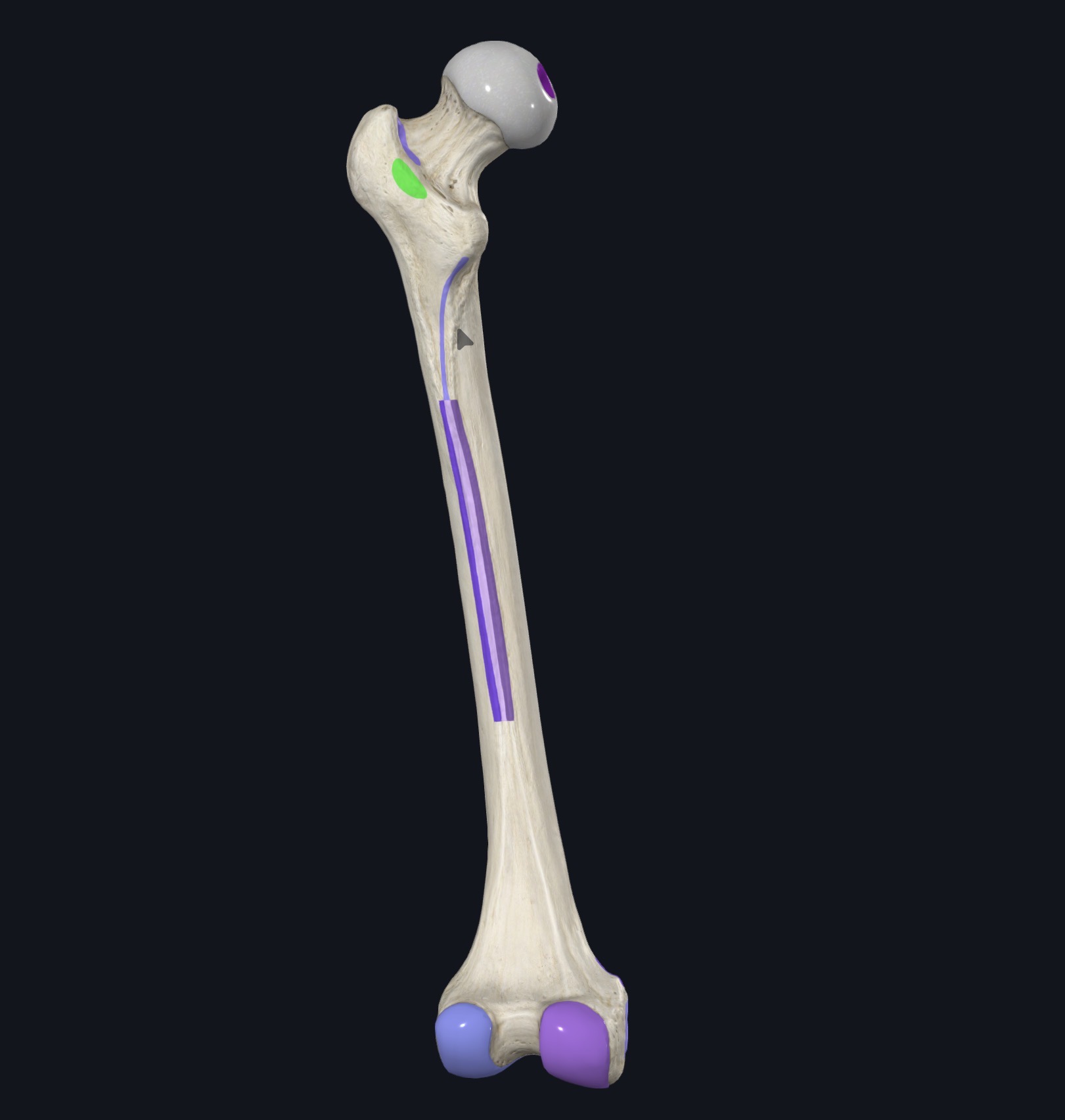 <p>¿Qué es esto?</p>