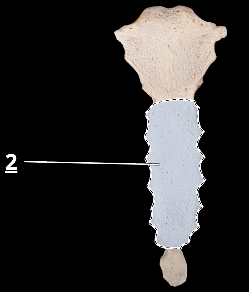 <p>2</p>