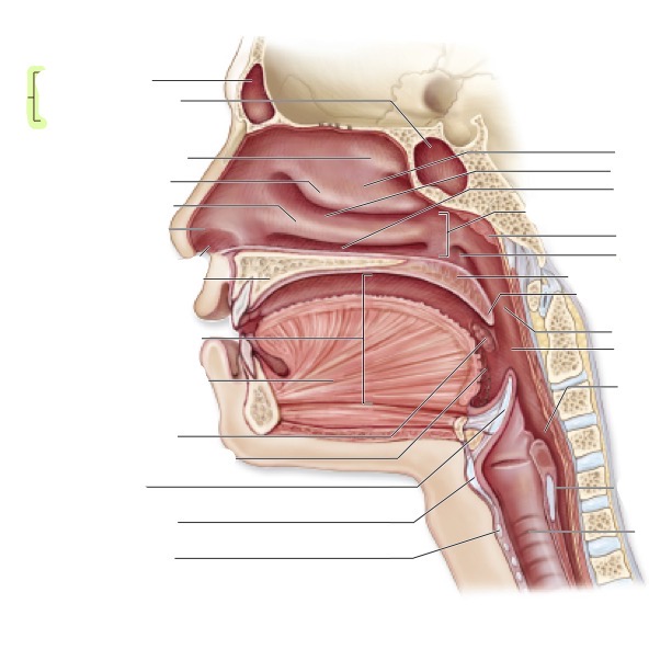 <p>what is this </p>