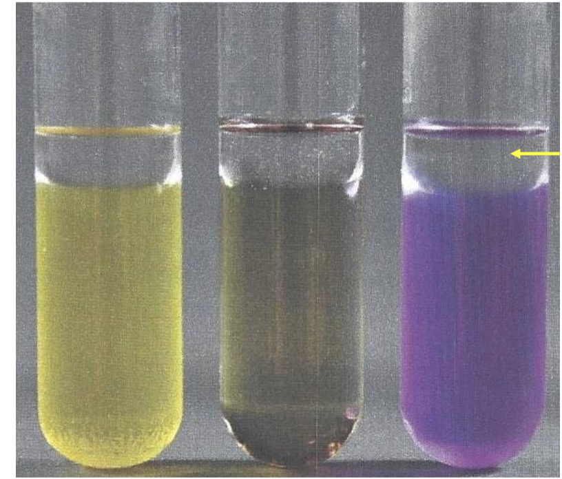 <p>what’s the ph indicator?</p>