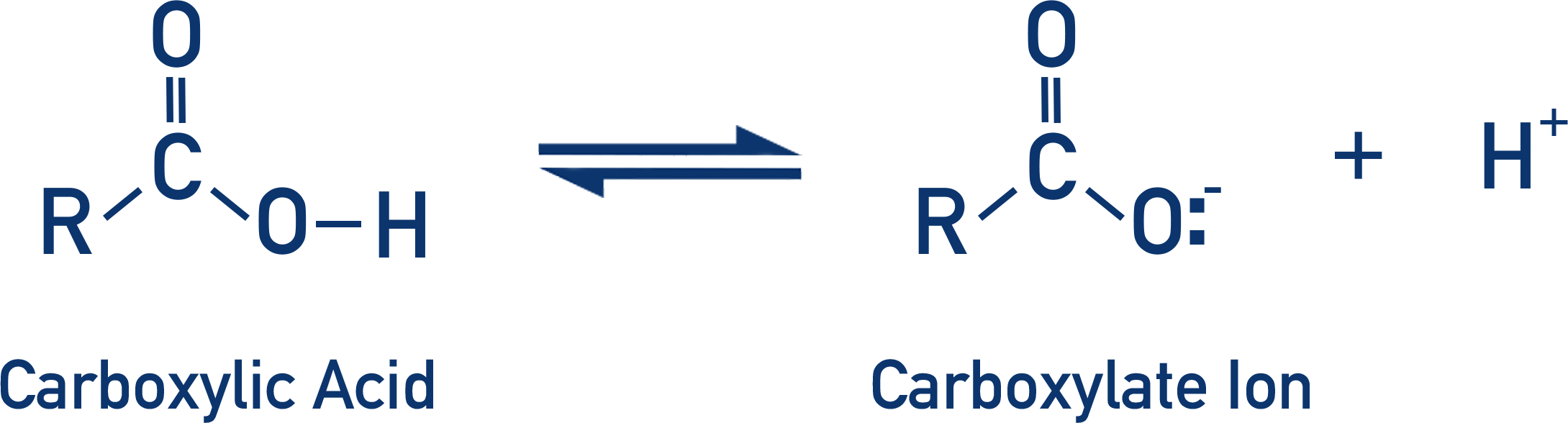 <p>Carboxylate</p>