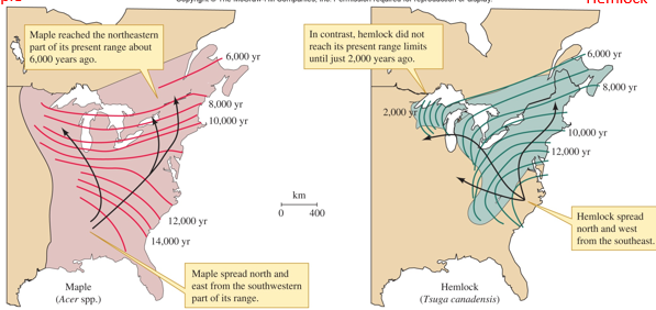 <p>Species shift ranges over time (e.g., tree movement tracked using pollen records)</p>