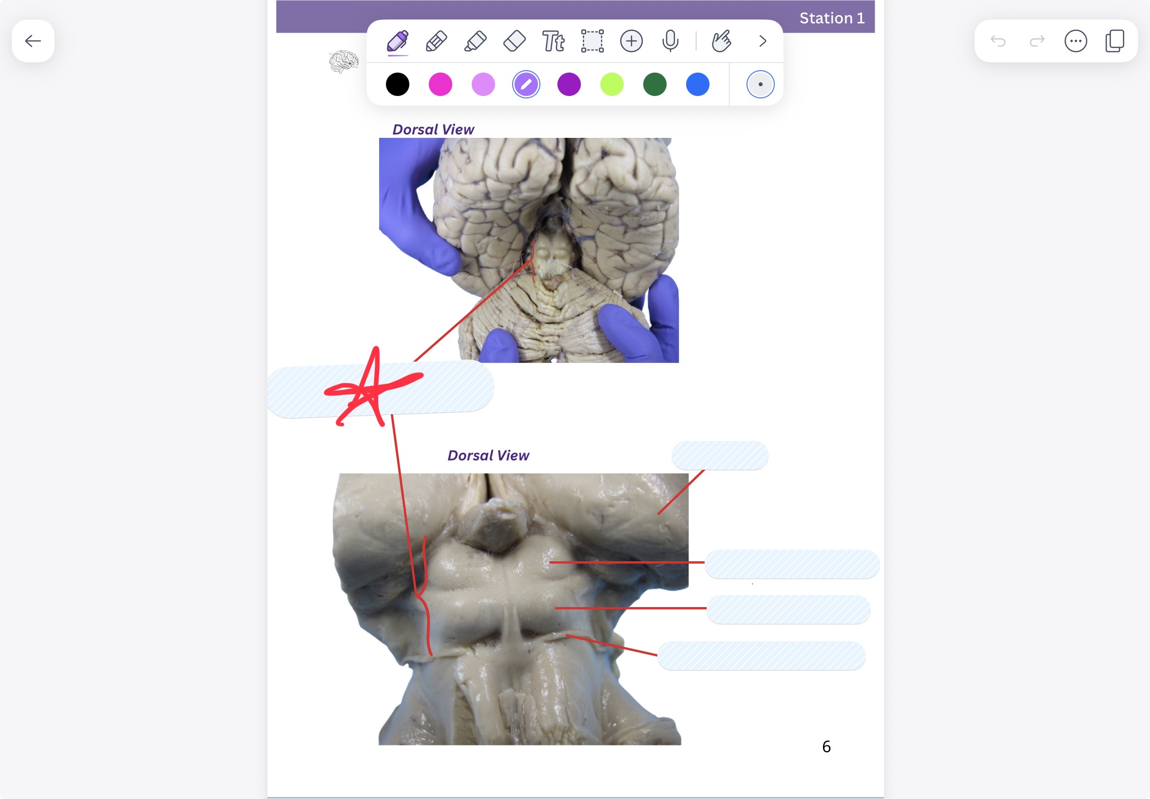knowt flashcard image