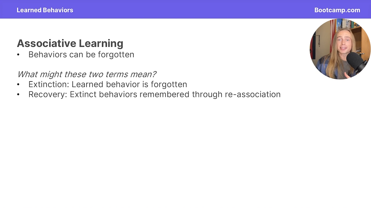 <p>a learned behavior is forgotten</p>