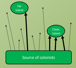 <p>Closer islands are more likely to receive immigrant species</p>