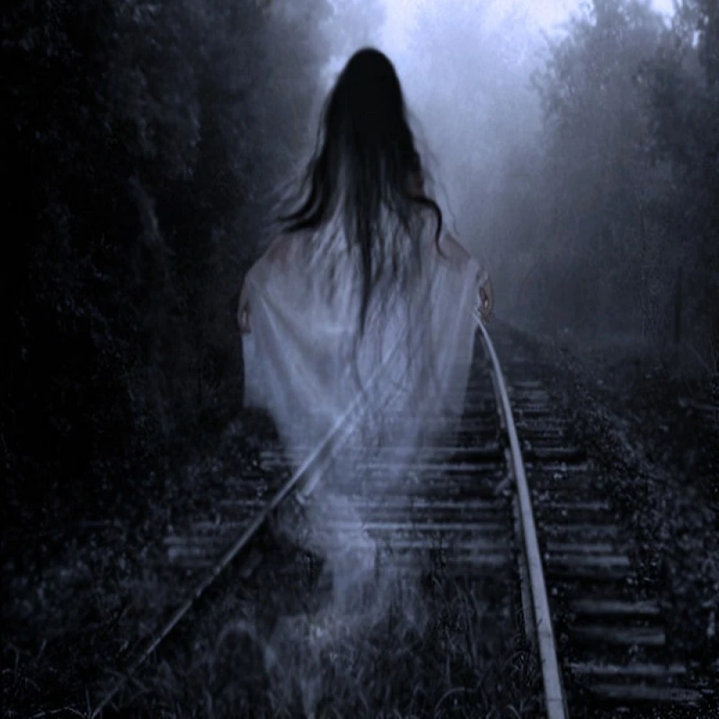 <p>призрак<br>Elava inimese hinge või vaimu ilming.</p>