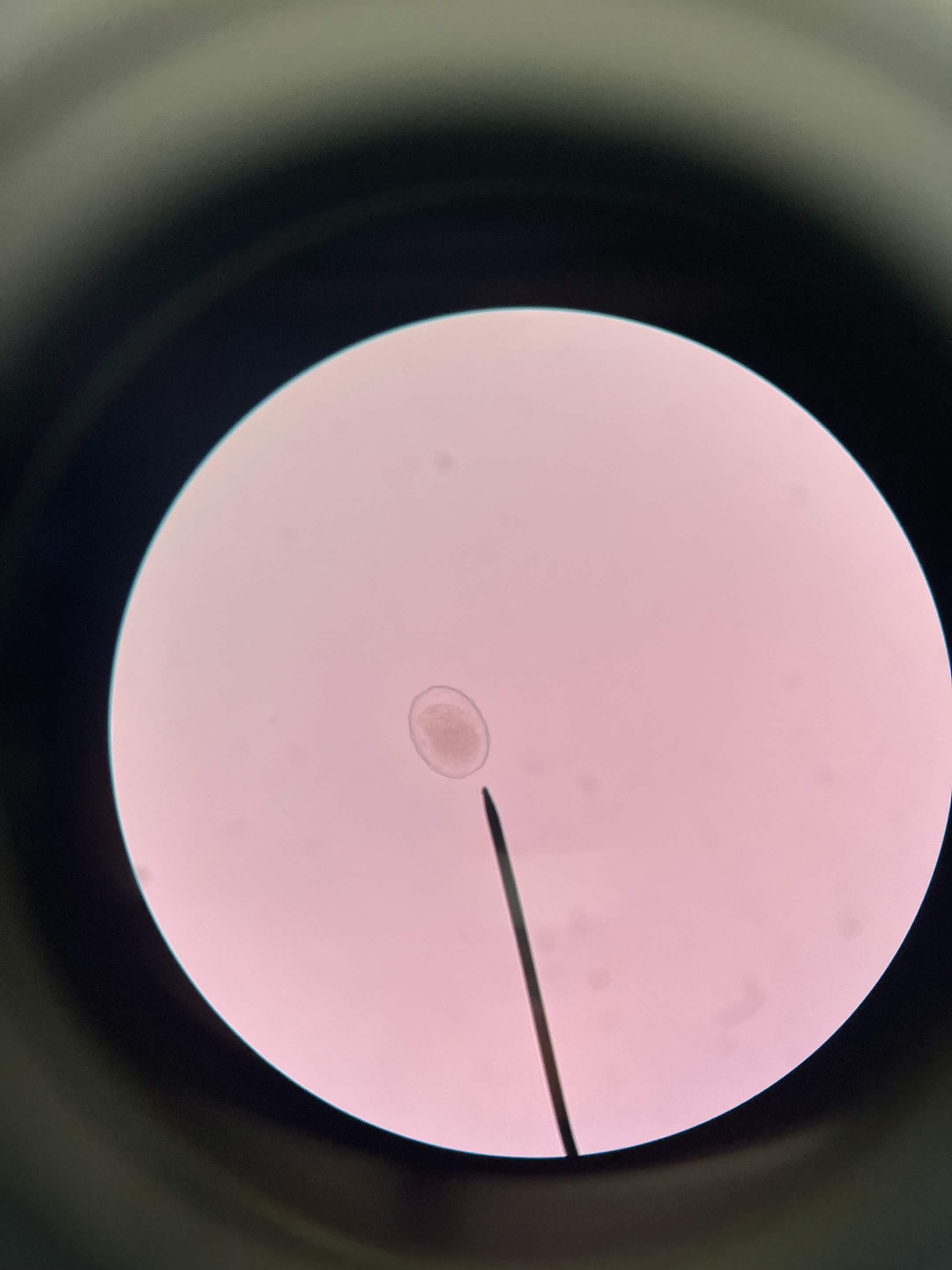<p>What is this?</p>