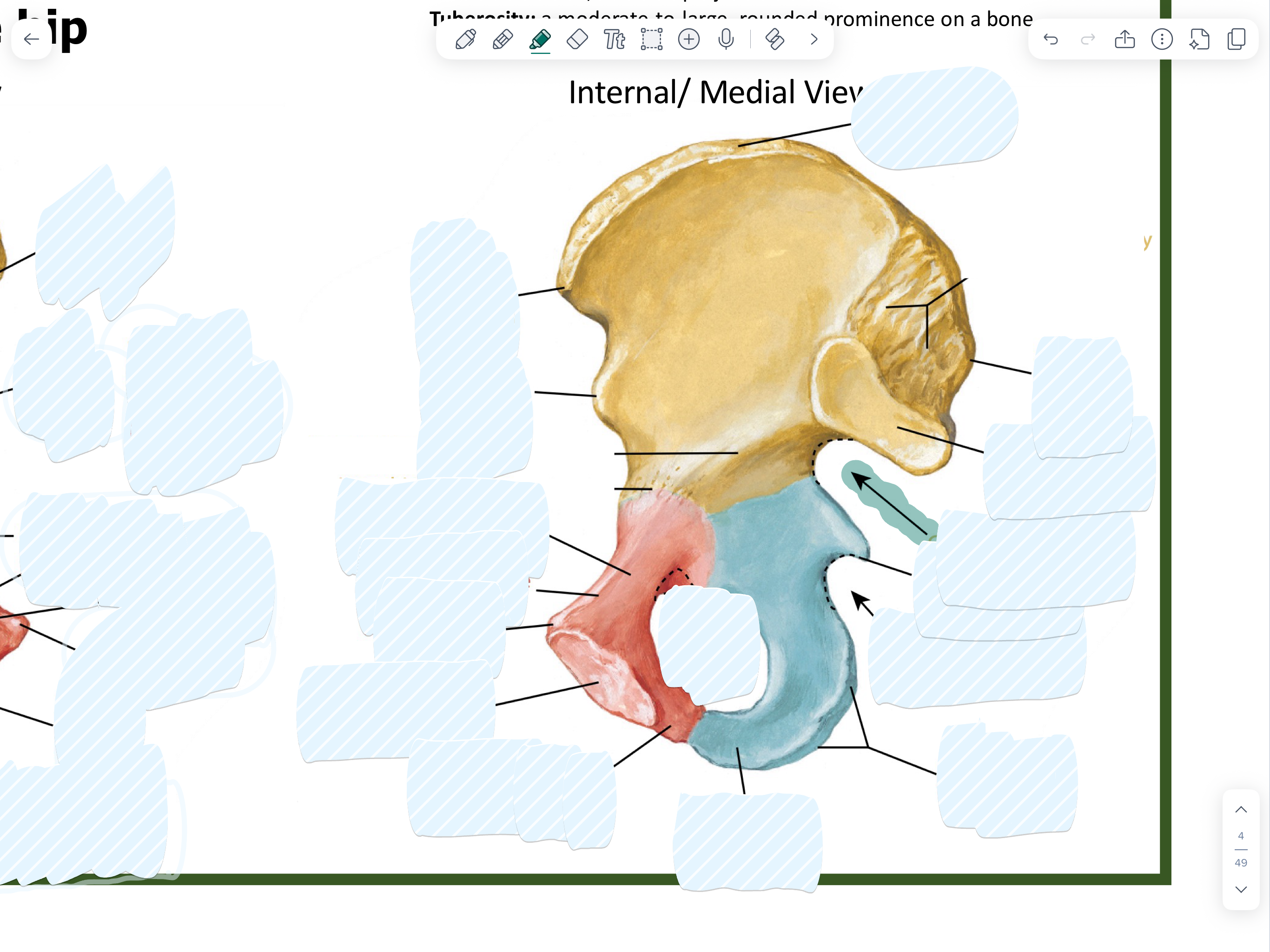 knowt flashcard image