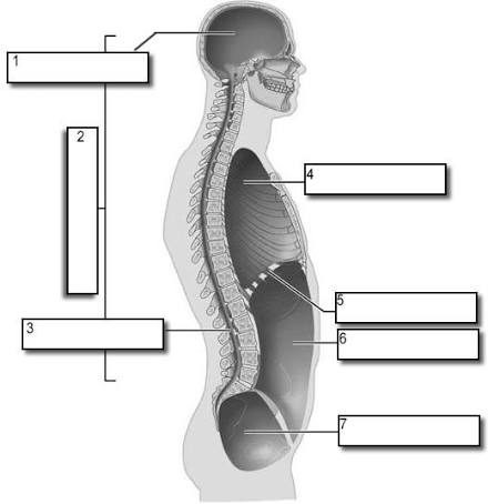 <p>#6</p>