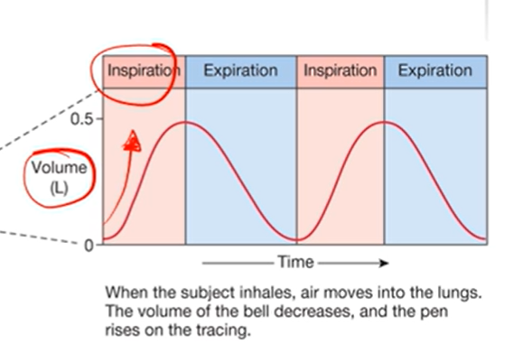 <p>For the chart, what corresponds with what?</p>