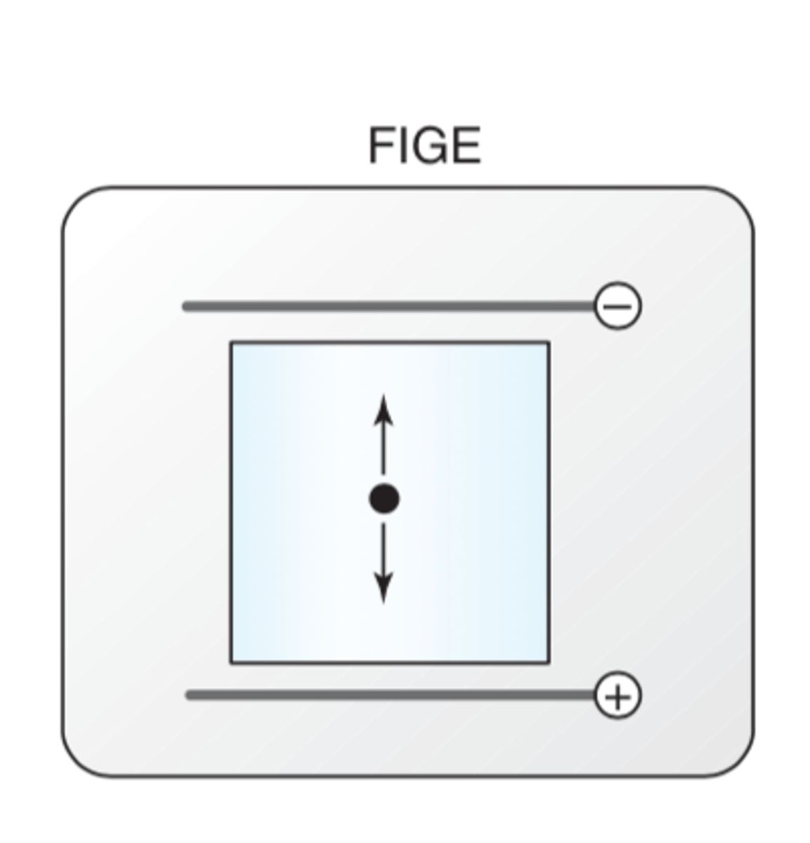 <p>field-inversion electrophoresis, samples move forward and backward due to the changing current/pulse field</p>