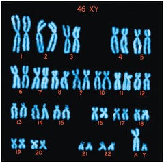 <p>46 chromosomes.</p>