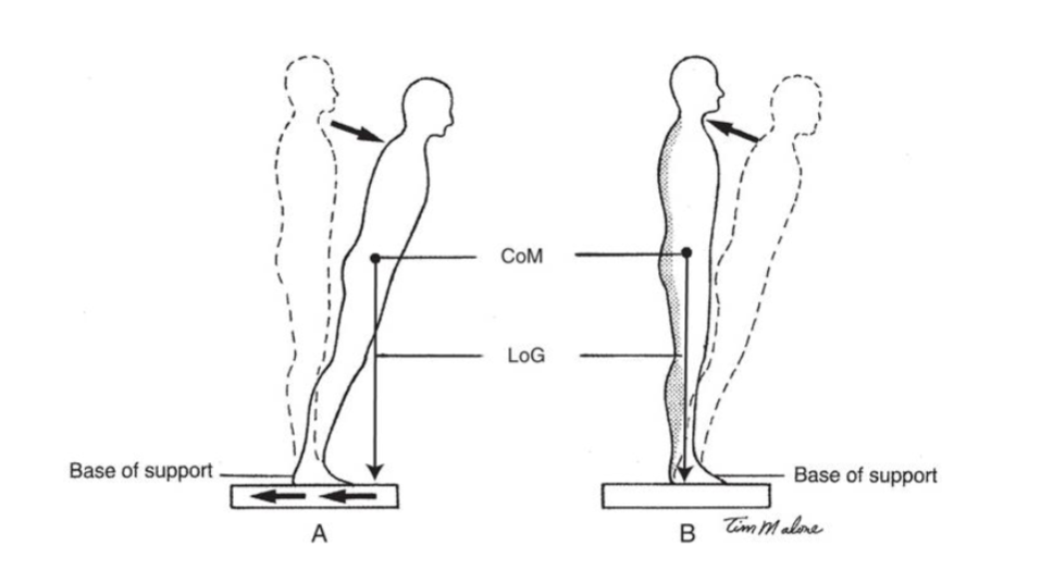 <ul><li><p>gravity wants to flex hip so you need to use hip extensors </p></li><li><p>COM goes too fwd, muscles can NOT handle it, so you have to take step back to be within BoS</p></li></ul><p></p>