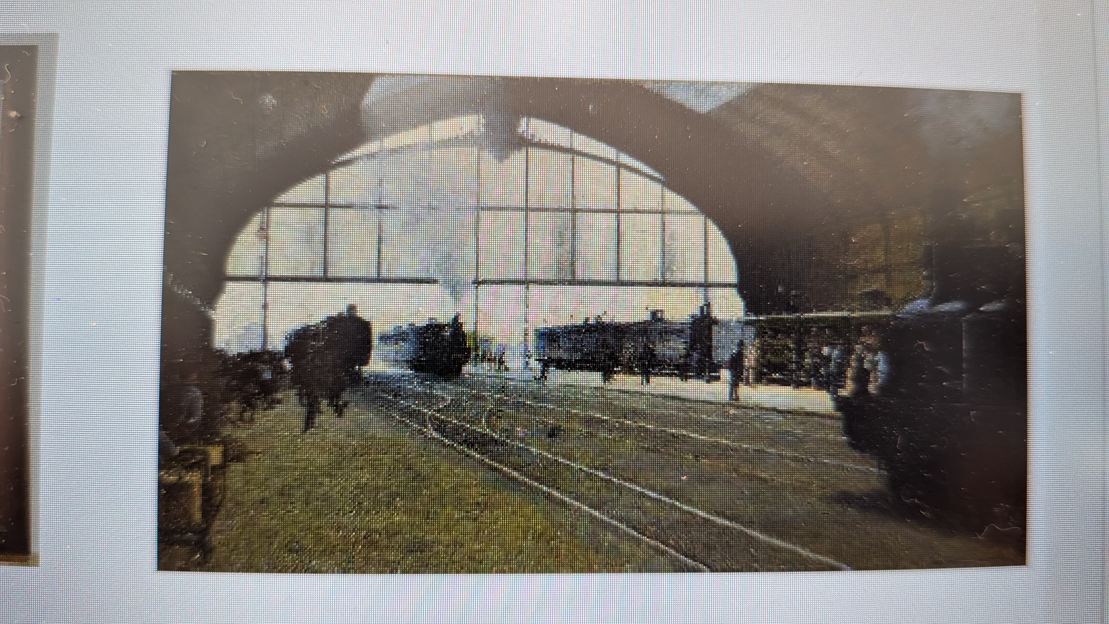 term image