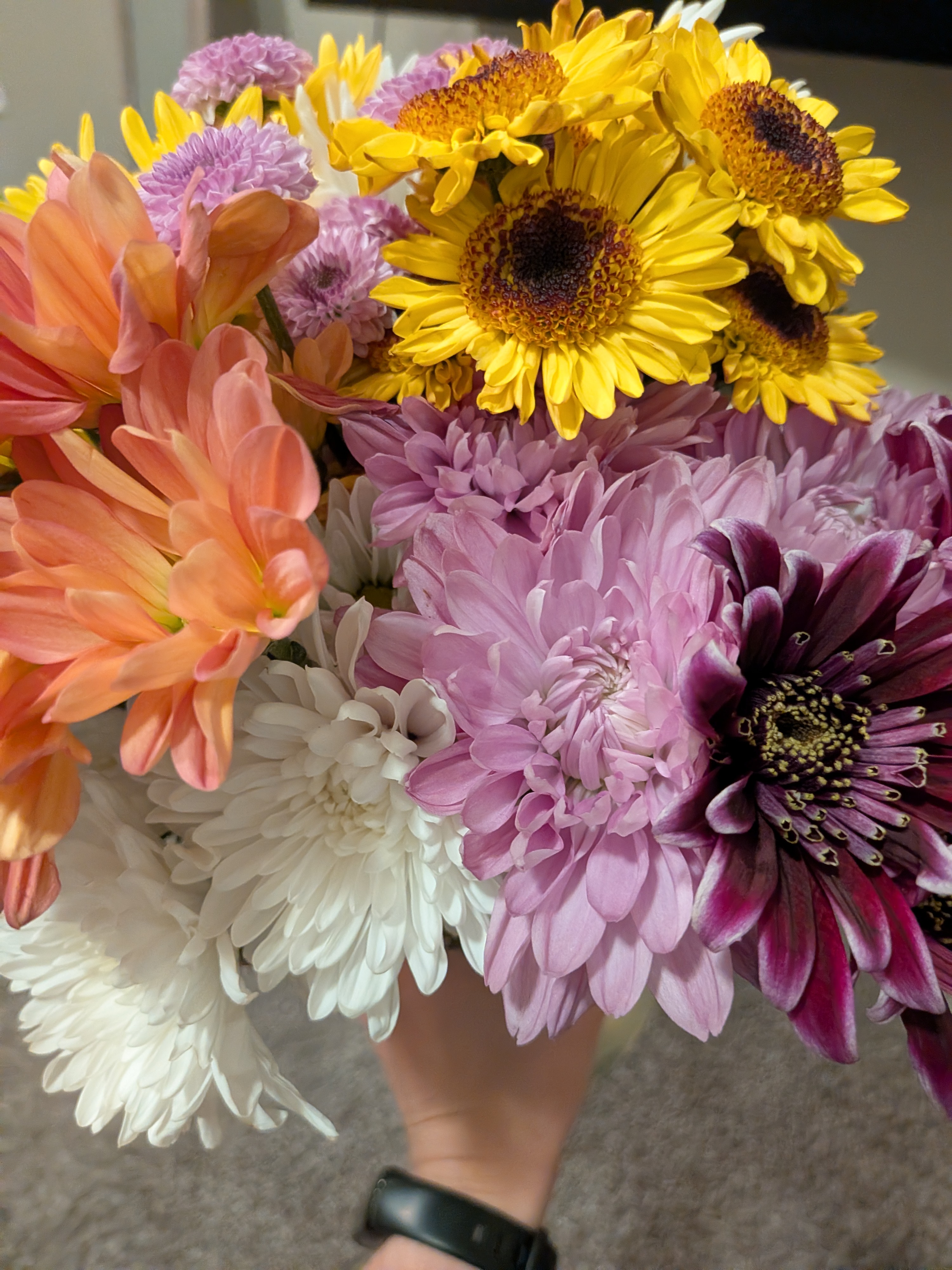 <p>Chrysanthemum </p>