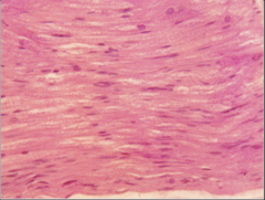 <p>What does this image show?</p>