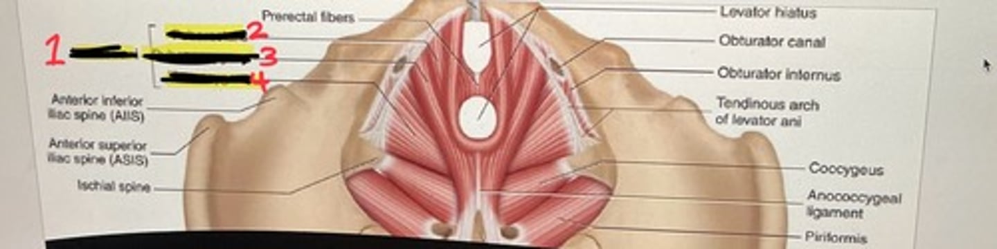 <p>3</p>