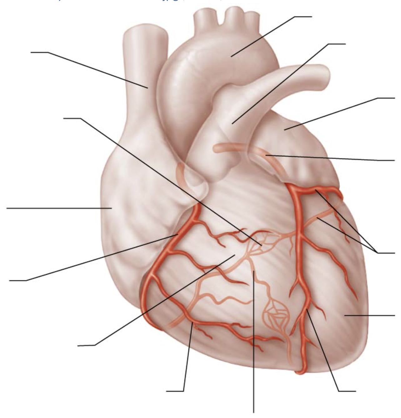 <p>arrow at bottom on right</p>