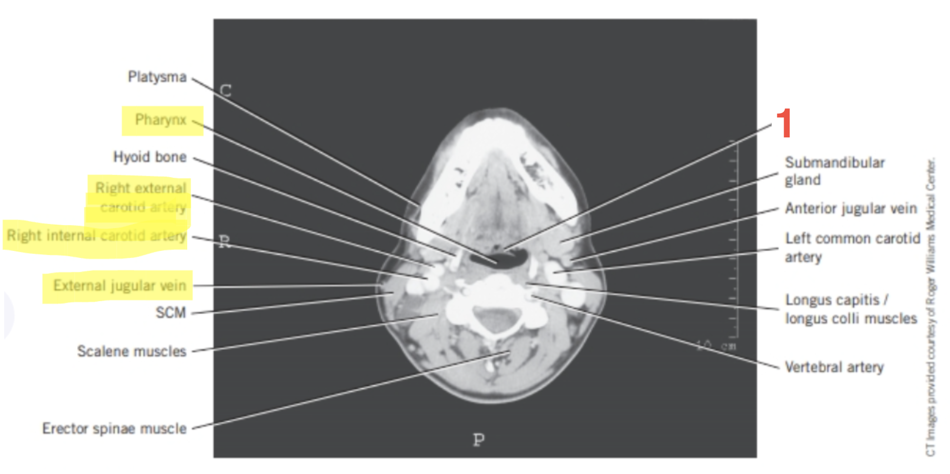 <p>1</p>
