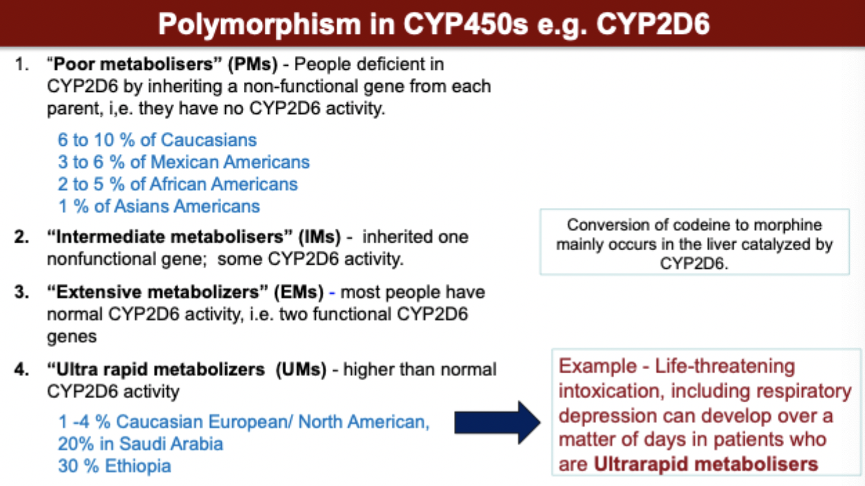 <p>polymorphism in CYP450S</p>