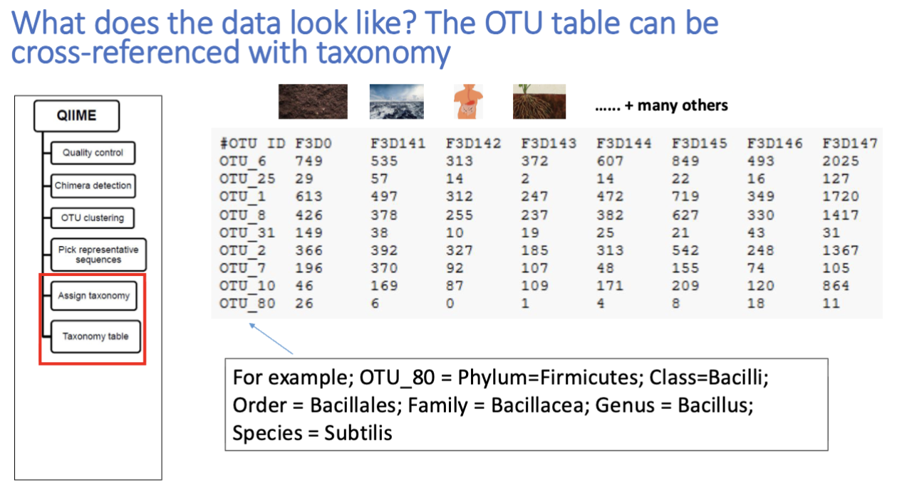 <p>unit to classify groups of similar organisms</p><p>clustering performed on a group of sequences</p><p>OTUs are defined by user (operational)</p><p>ex: 97% identity of 16s rDNA gene for OTU is human made stat</p><p></p><p>OTU clustering: grouping together closely related sequencing reads from a sample</p><p></p><p><span>OTU is just sequences you think are the same, then cross referencing actually identifies it</span></p><p></p><p><span>higher resolution attempts to make the threshold higher than 97%</span></p><ul><li><p>amplicon sequence variants (ASVs)</p></li><li><p>exact sequence variants (ESVs)</p></li><li><p>zero radius OTUs (zOTUs)</p></li></ul><p></p>