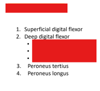 <p>Q: The Superficial digital flexor, Deep digital flexor, Peroneus tertius, and Peroneus longus are classified as Flexors of the …… </p><p>A. stifle </p><p>B. hock </p><p>C. hip </p><p>D. digits</p>
